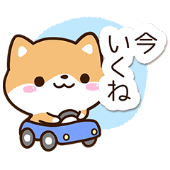 Sticker of Cute Shiba41