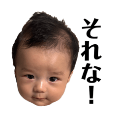 sakura_20231016202640