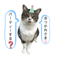 Yuka_20231017023047