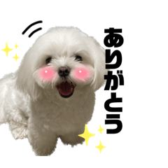 hana_20231017123635