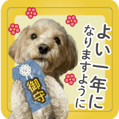 move! Dog Maru-chan New Year update