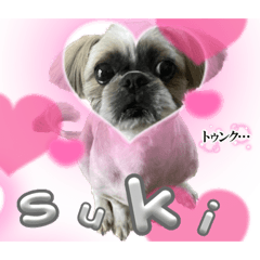 KANA_20231017081956