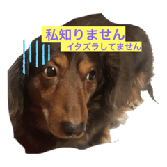 JUNKO_20231016202346