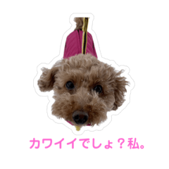 Yuka_20231016223853