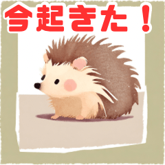 Adorable Hedgehogs Expressions Sticker