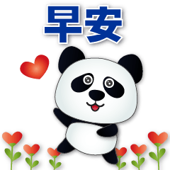 Cute Panda- Common Phrases