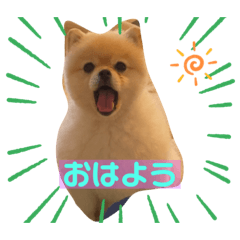 OMOCHI_20231017151853