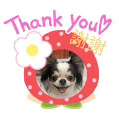 咪嚕嚕寶貝