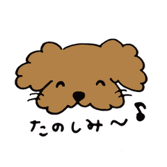 AlmondPoodle