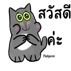 Cute Thai Grey Cat Version1