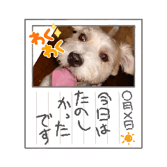 hana_20231017210259