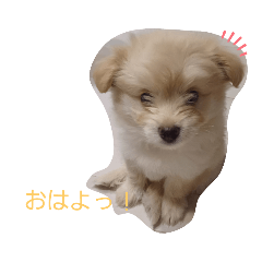 yukari_20231017220330