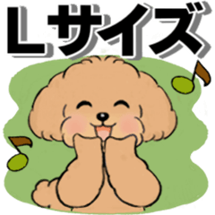 Cute toy poodle (larger size letter)