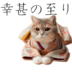 냥코 제국기행행복한 나날 기모노 고양이와