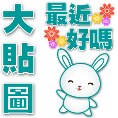 Practical greeting- cute white rabbit