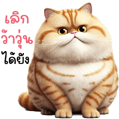 Tabby Chubby Cute Cats (Big Stickers)