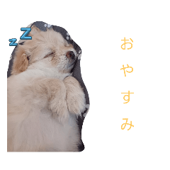 yukari_20231018182814