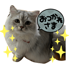 Mochao_20231018190241