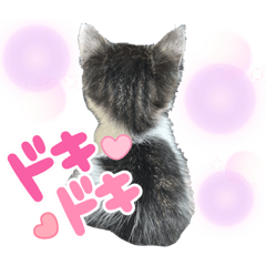 YUKARI_20231018155050