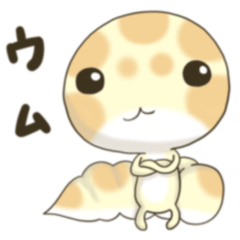 leopard gecko banachan2