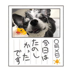 Kichi_20231018154733