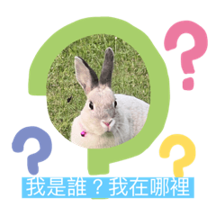 可可愛玩的樣子