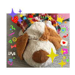 sunny_20231018174928