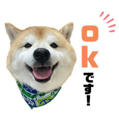 shibace_20231018232137