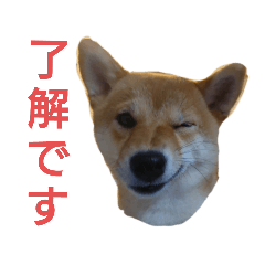 hana_20231018232826