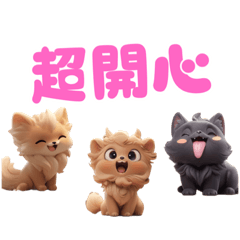 3隻貴賓狗寶貝