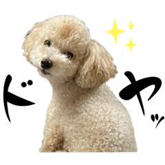 nao_20231019105720