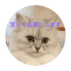 yuka_20231020093140