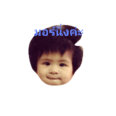 นกของชั้น