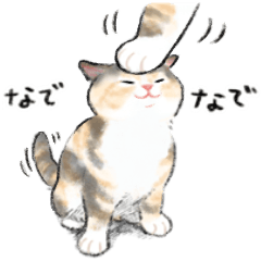 My cat ! (Dilute calico)