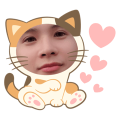 樹懶三兄弟的日常