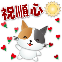 Cute Calico cat - practical greetings