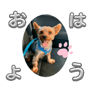AKIE.MIYASHITA_20231019190413