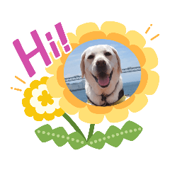 sakura_20231019224500