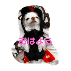 moo_20231019204228