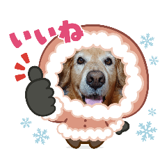 hana_20231020152748