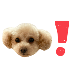nao_20231020194019