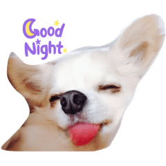 tamagoman_20231020210829