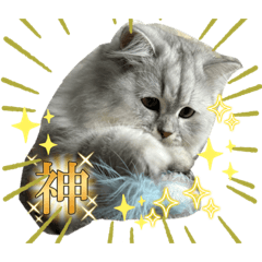 Mochao_20231020191908