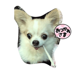 tamagoman_20231020212618