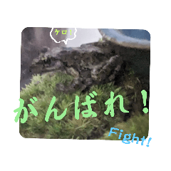 kero_20231020170953