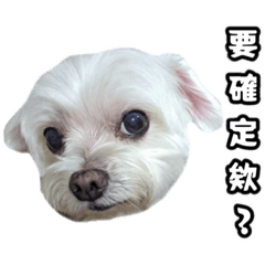 沒有Coca只有Cola