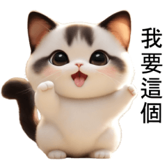 Chubby Cat Tuateung (TWN)