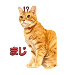 tyatyann_20231021122253