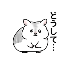 理不尽はむすたー