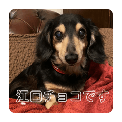 Yokke_20231021145237